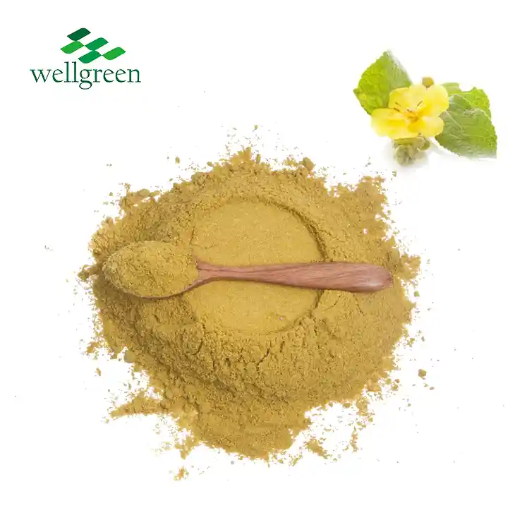 Forskolin Powder